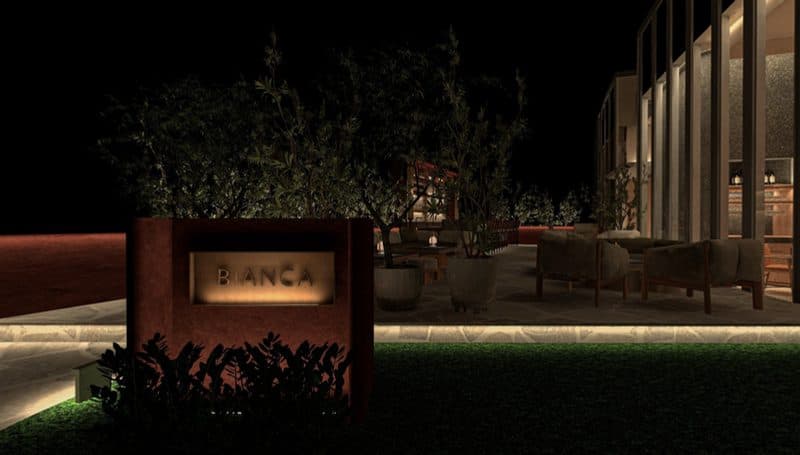 Bianca Omakase counter and pizza oven